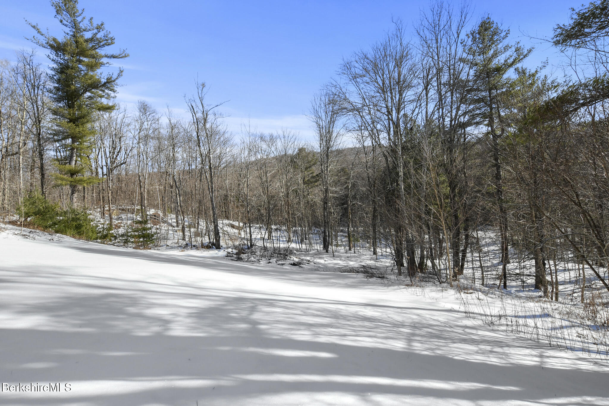 41 S Road Peru, MA 01235 - Photo 39 of 45 Ext Rear Yard
