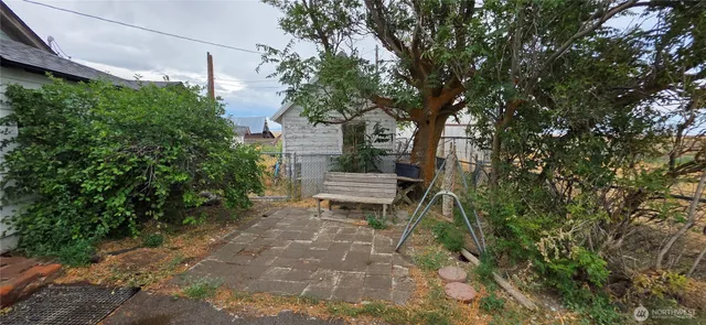 a view of a yard with plants and trees