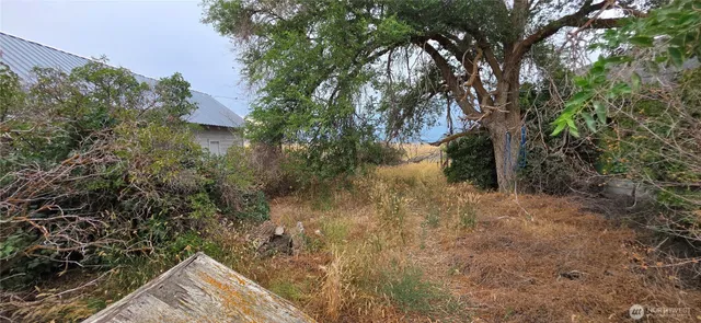 a view of a lake in middle of the forest