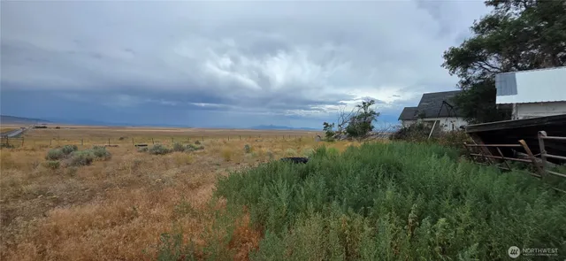 a view of a dry yard