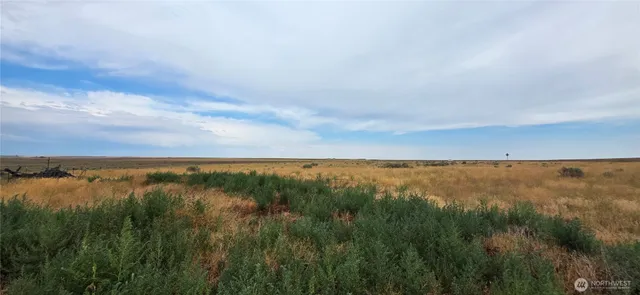 a view of a lake with a big yard