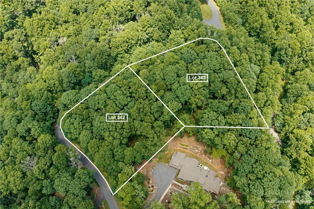 Lot 342-343 Twin Rivers Drive Boone, NC 28607 - Photo 4 of 16 Gallery Image 4