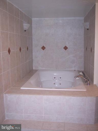1311 Marchmont Court Reston, VA 20190 - Photo 20 of 30 Lower Level Master Bath XL Tub