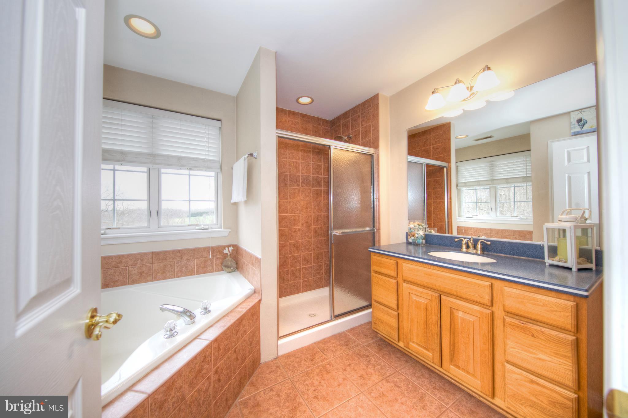 2127 Harkins Road Pylesville, MD 21132 - Photo 15 of 28 Bath (Master)