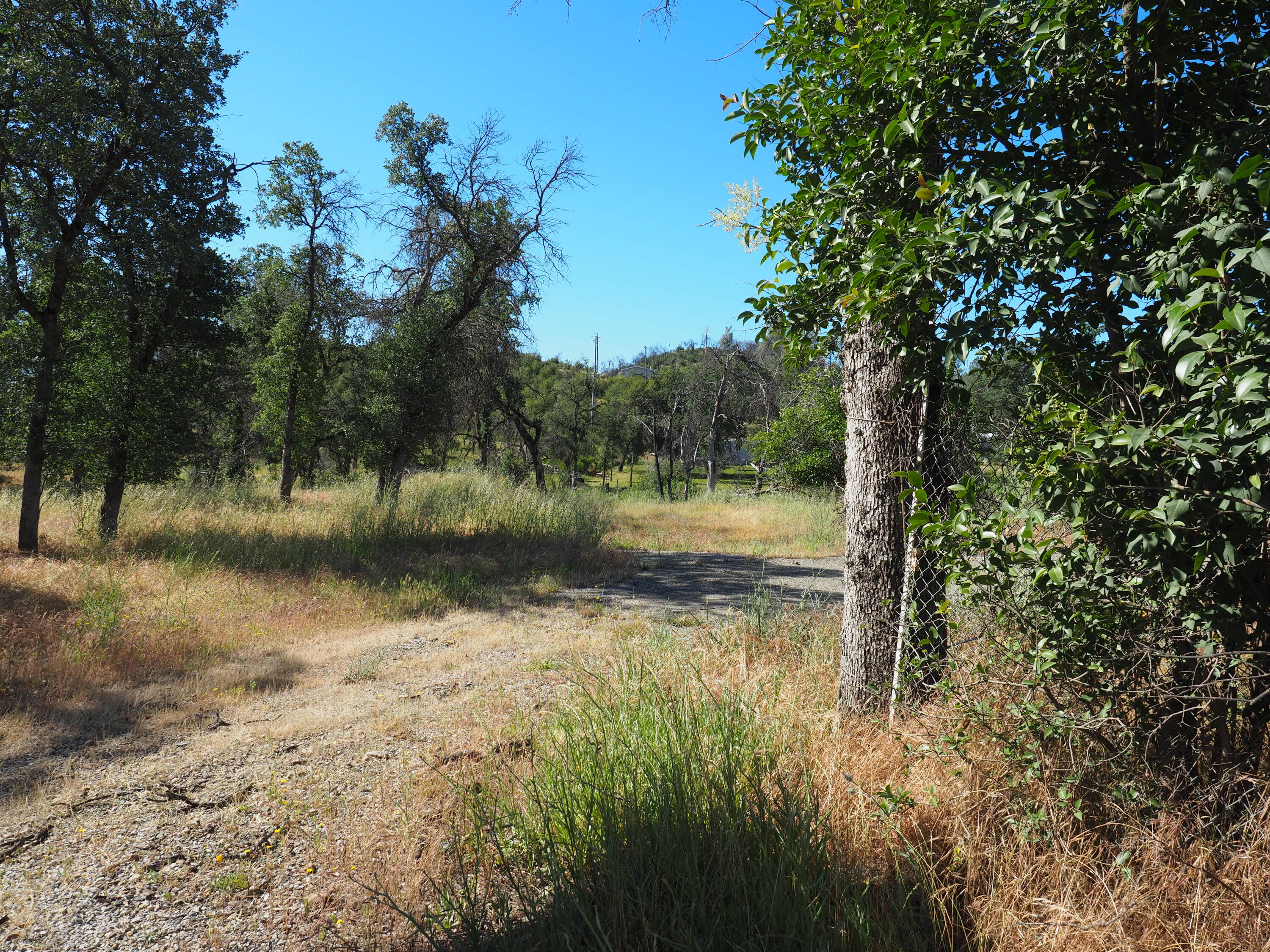 20103 Parocast Road Redding, CA 96003 - Photo 4 of 24 a view of a lake view with a bench