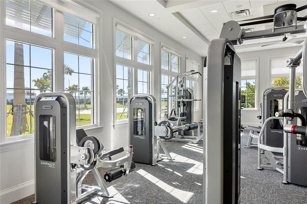 14812 Lyla Terrace Lakewood Ranch, FL 34211 - Photo 56 of 65 a view of a room with gym equipment