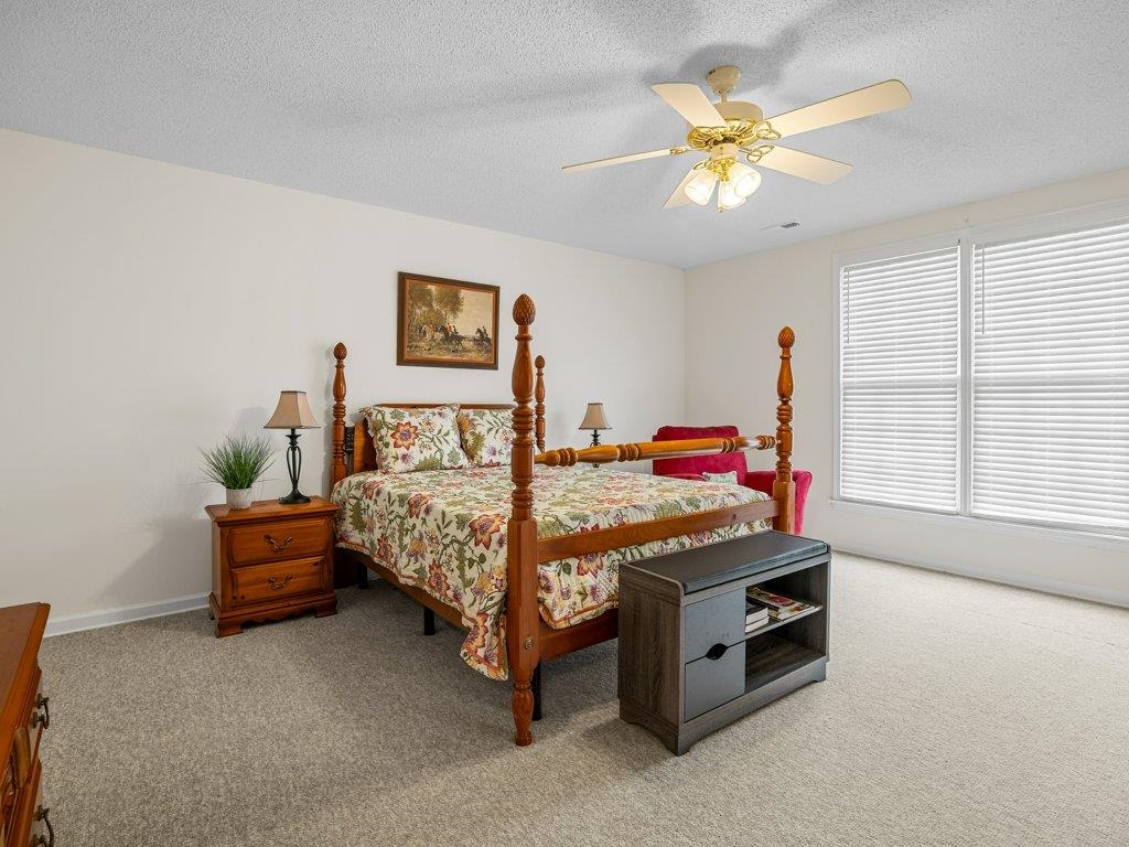 530 Hulon Howard Road Landrum, SC 29356 - Photo 19 of 50