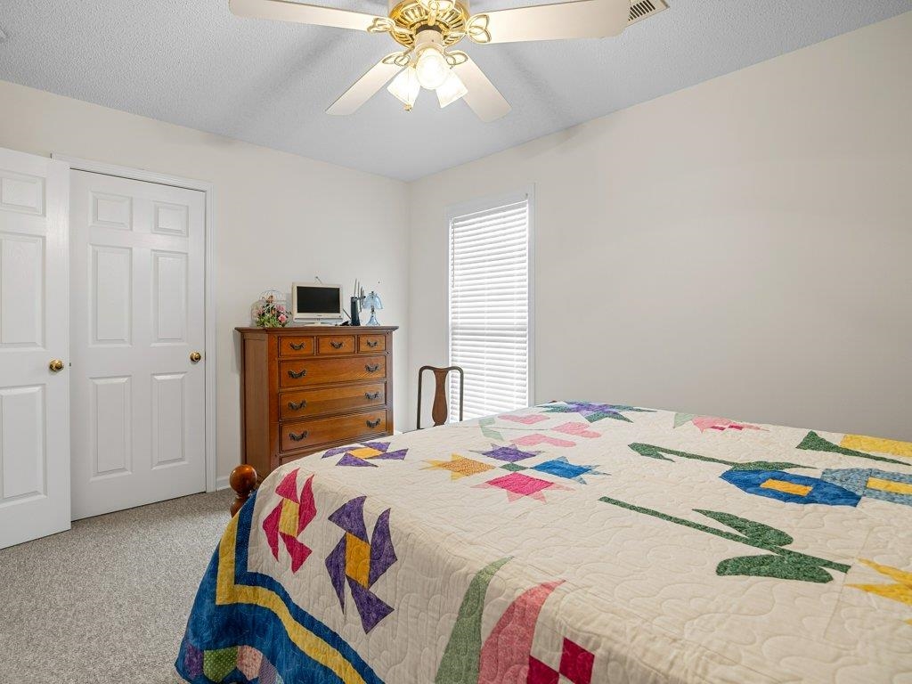 530 Hulon Howard Road Landrum, SC 29356 - Photo 27 of 50