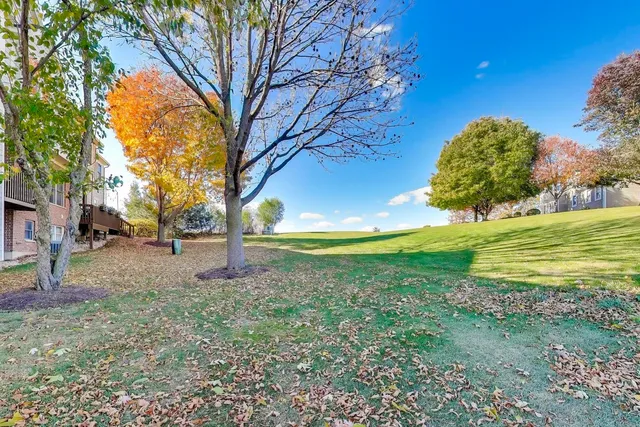 a view of a golf course