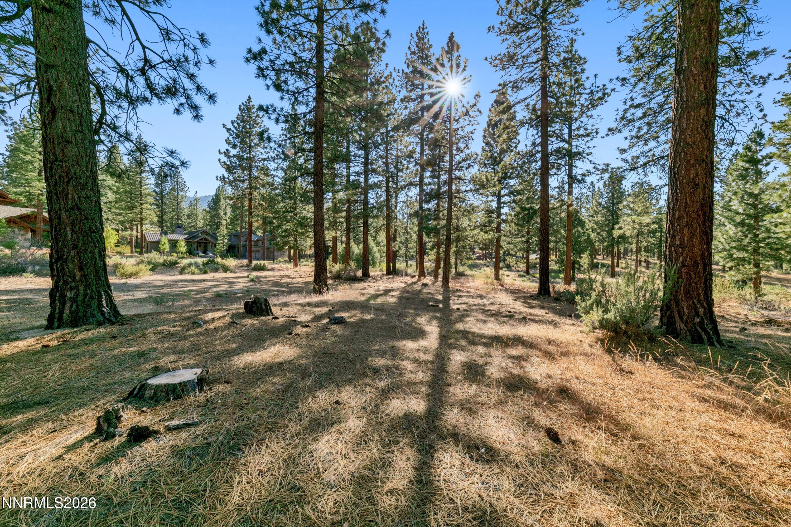 238 Redding Way Carson City, NV 89705 - Photo 11 of 24 a17