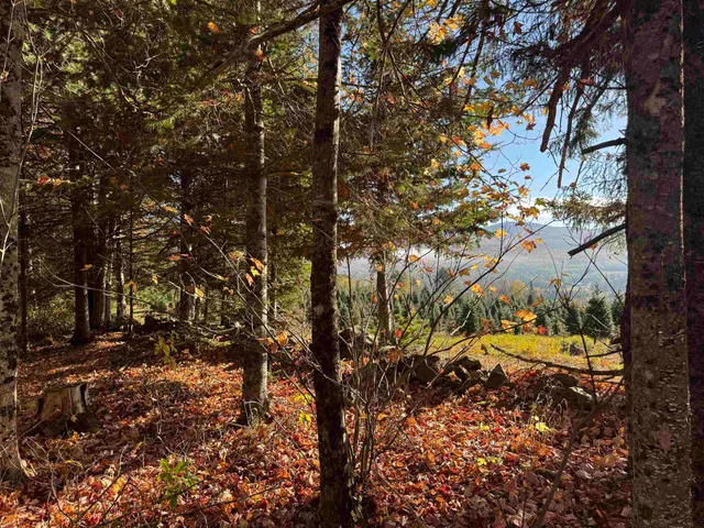 $289,900 | 374 Crank Road, Bloomfield, VT 05905