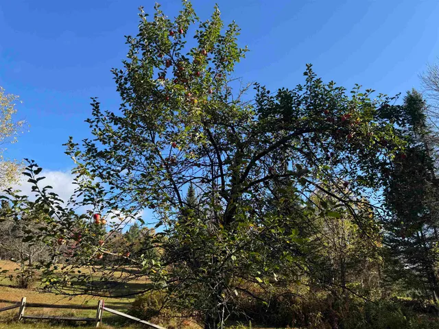 $289,900 | 374 Crank Road, Bloomfield, VT 05905