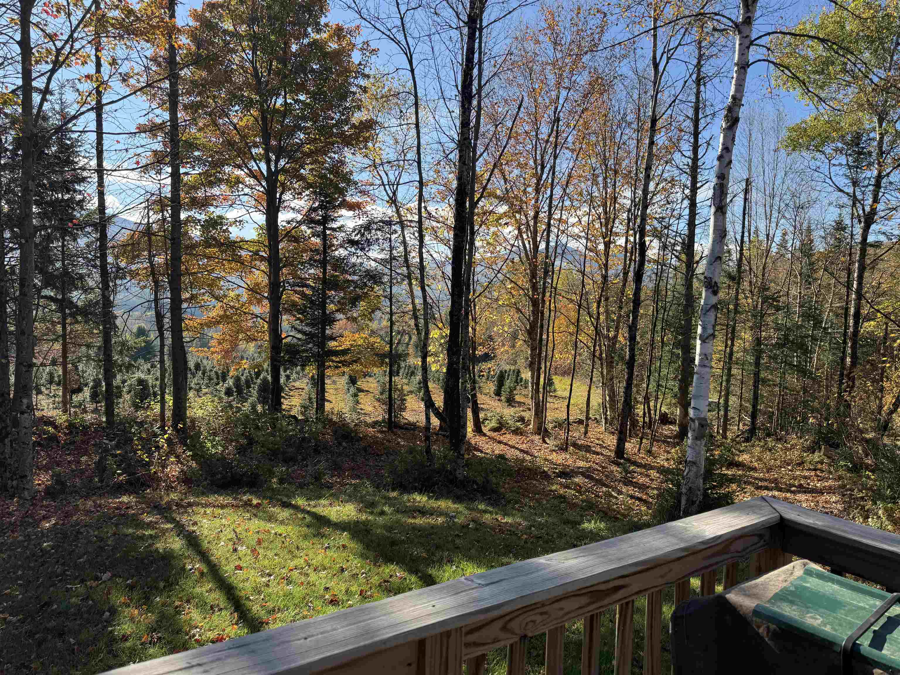 374 Crank Road Bloomfield, VT 05905 - Photo 13 of 37