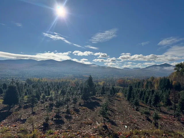 $289,900 | 374 Crank Road, Bloomfield, VT 05905