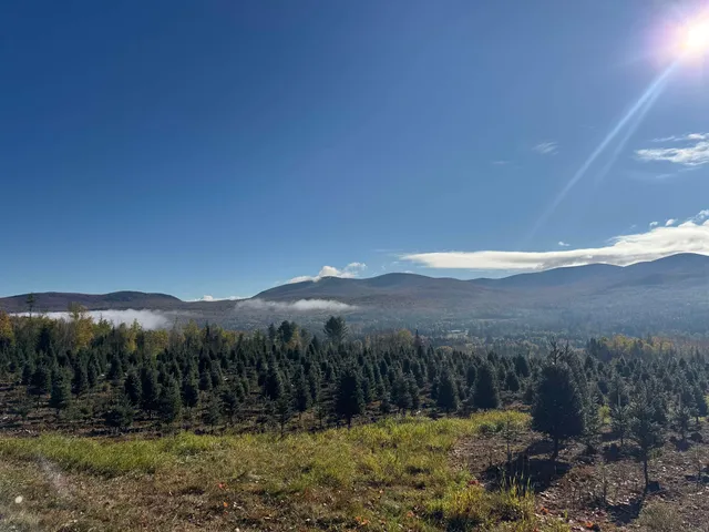 $289,900 | 374 Crank Road, Bloomfield, VT 05905