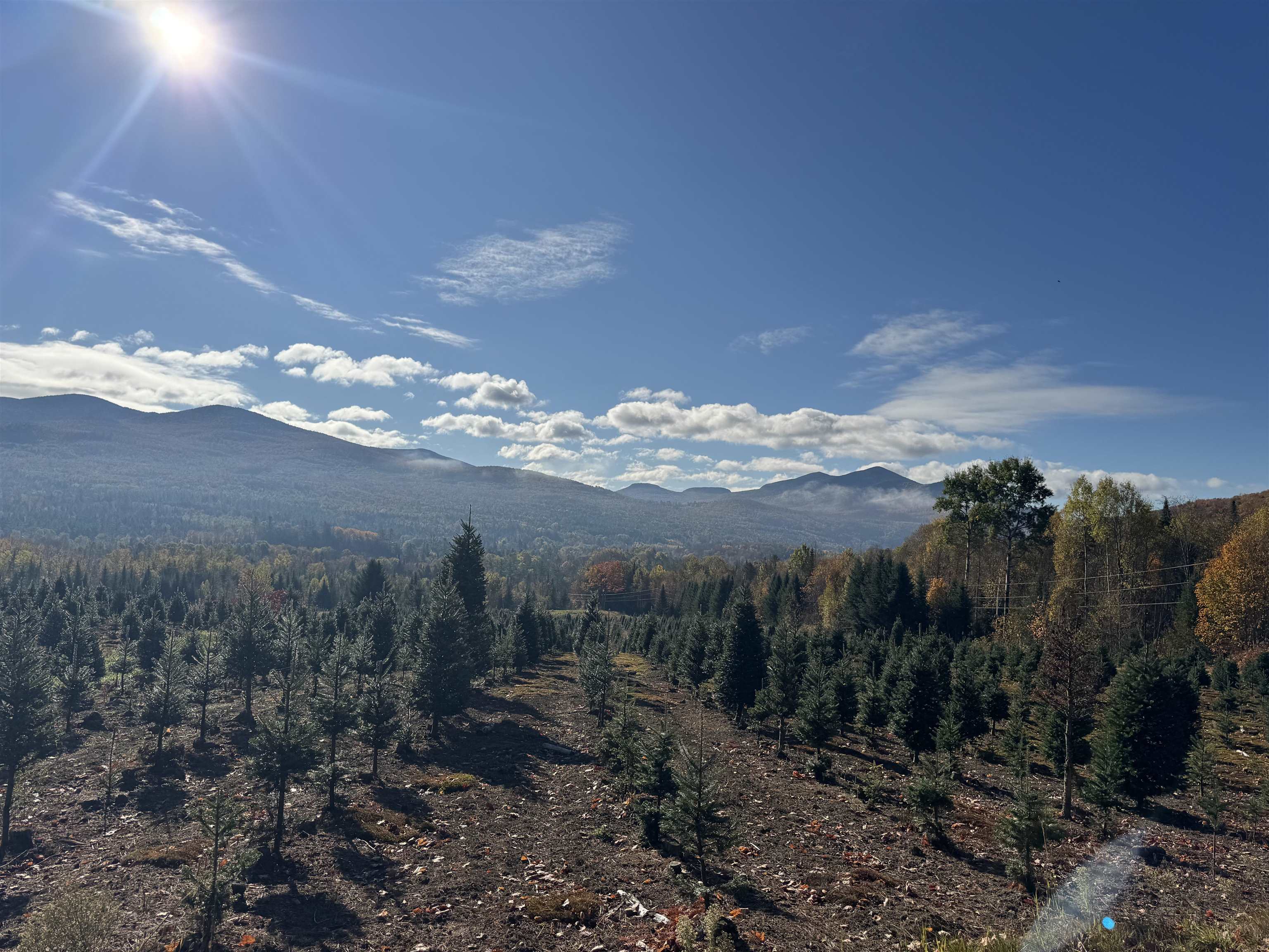 374 Crank Road Bloomfield, VT 05905 - Photo 10 of 37