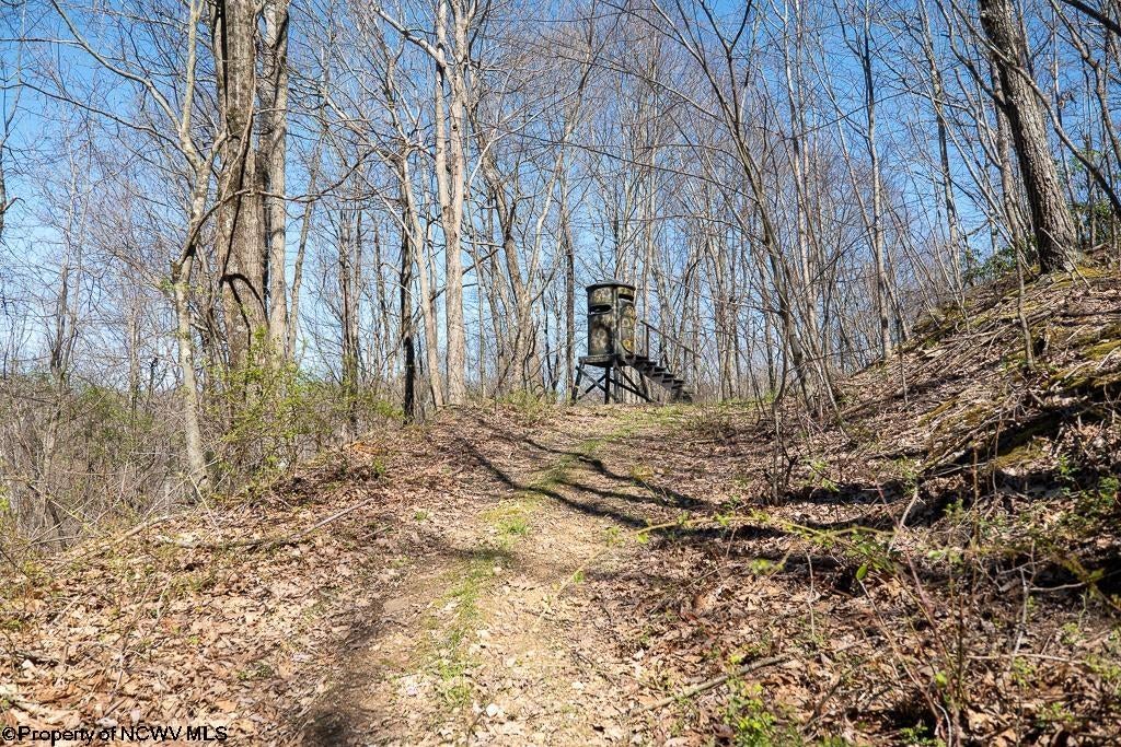 Lot 1 Fairfax Mine Road Reedsville, WV 26547 - Photo 10 of 49 Gallery Image 10