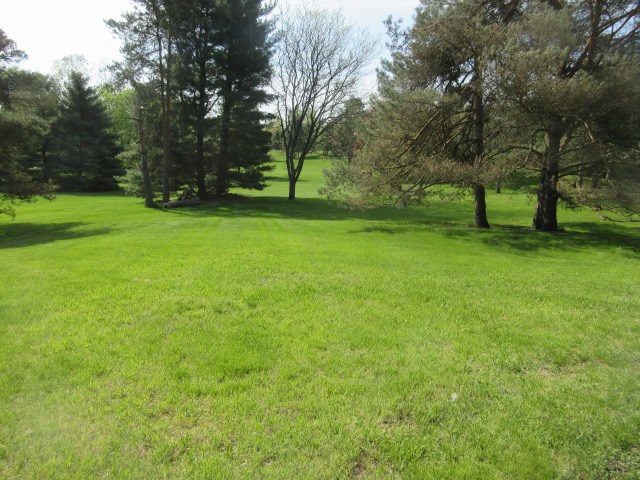 69394 Saxon Drive Romeo, MI 48065 - Photo 21 of 53 backyard