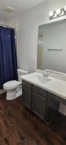 a bathroom with a sink a toilet and mirror