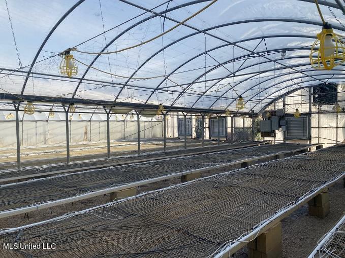 4450 Parsons Road Raymond, MS 39154 - Photo 14 of 66 Greenhouse 12
