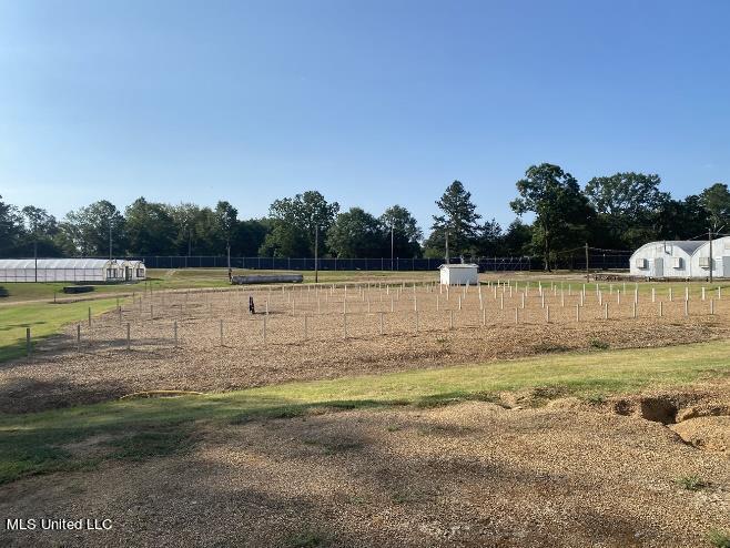 4450 Parsons Road Raymond, MS 39154 - Photo 3 of 66 1