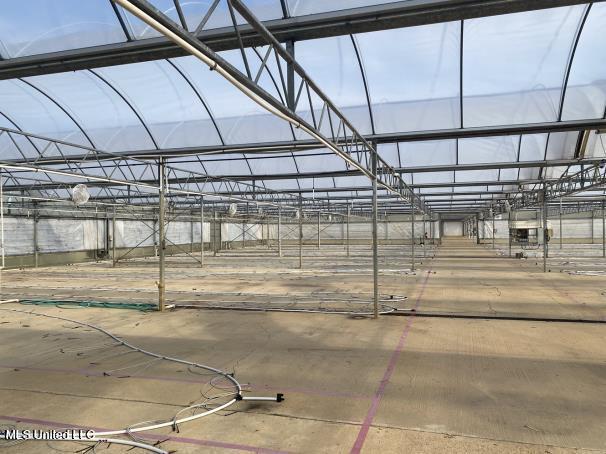 4450 Parsons Road Raymond, MS 39154 - Photo 31 of 66 Greenhouse 25