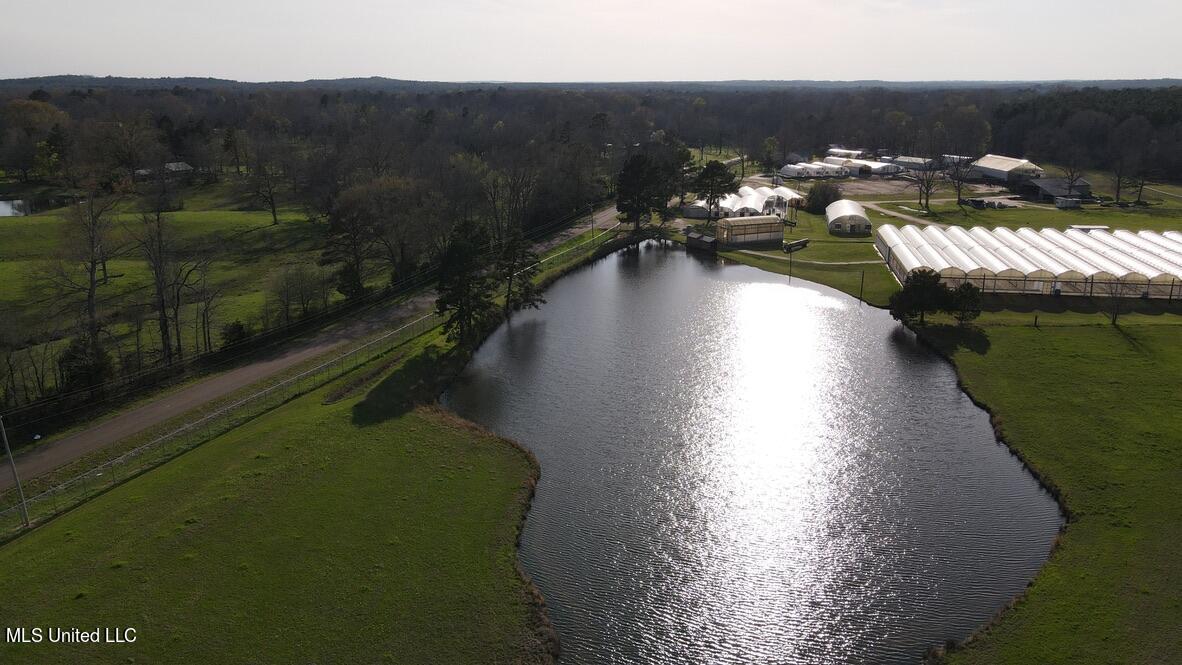 4450 Parsons Road Raymond, MS 39154 - Photo 51 of 66 12883CDD-EDB8-4181-A21C-38677C83485B_1_1