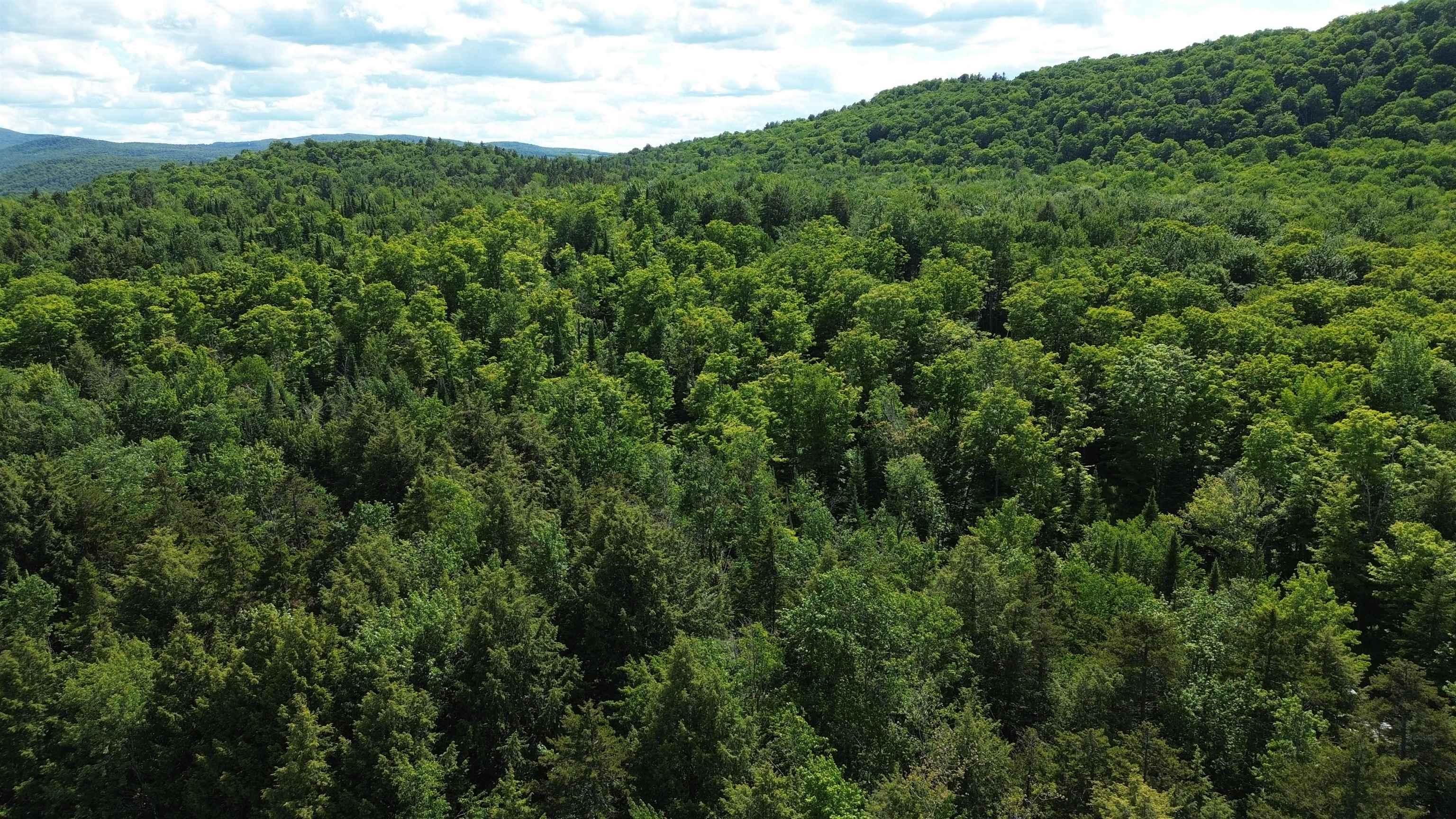 1220 Camp Winape Road Morgan, VT 05872 - Photo 13 of 16