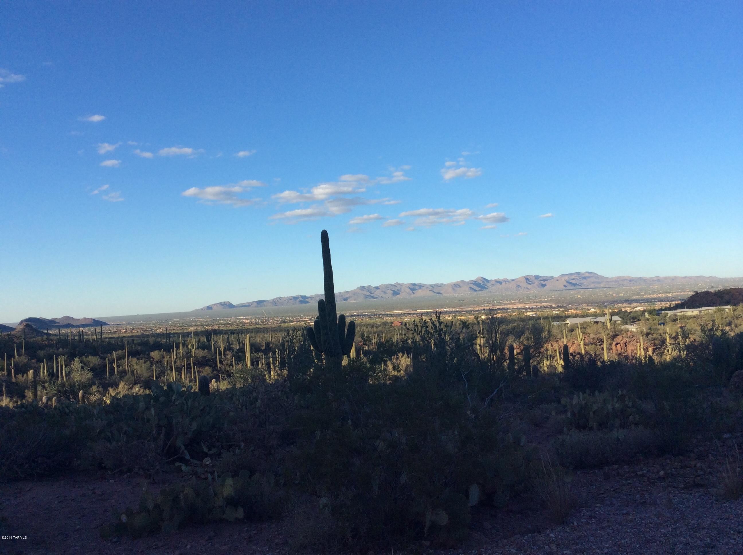 11606 West Picture Rocks Road Tucson, AZ 85743 - Photo 22 of 24 Gallery Image 22