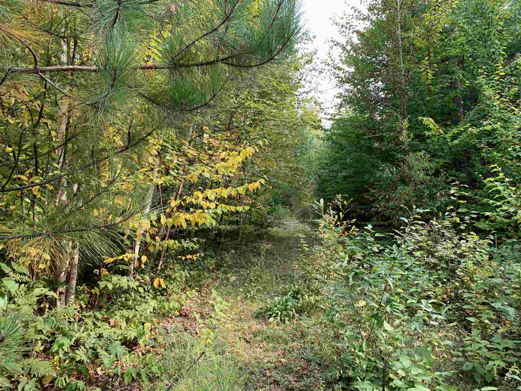 507 West Side Road, Unit 1 Bethlehem, NH 03574 - Photo 3 of 10