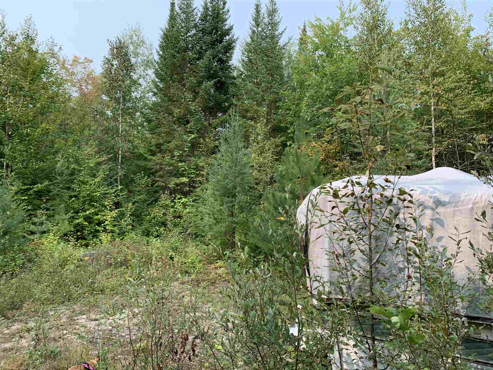 507 West Side Road, Unit 1 Bethlehem, NH 03574 - Photo 6 of 10