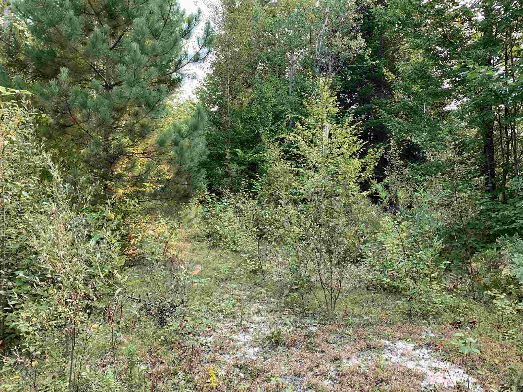 507 West Side Road, Unit 1 Bethlehem, NH 03574 - Photo 7 of 10
