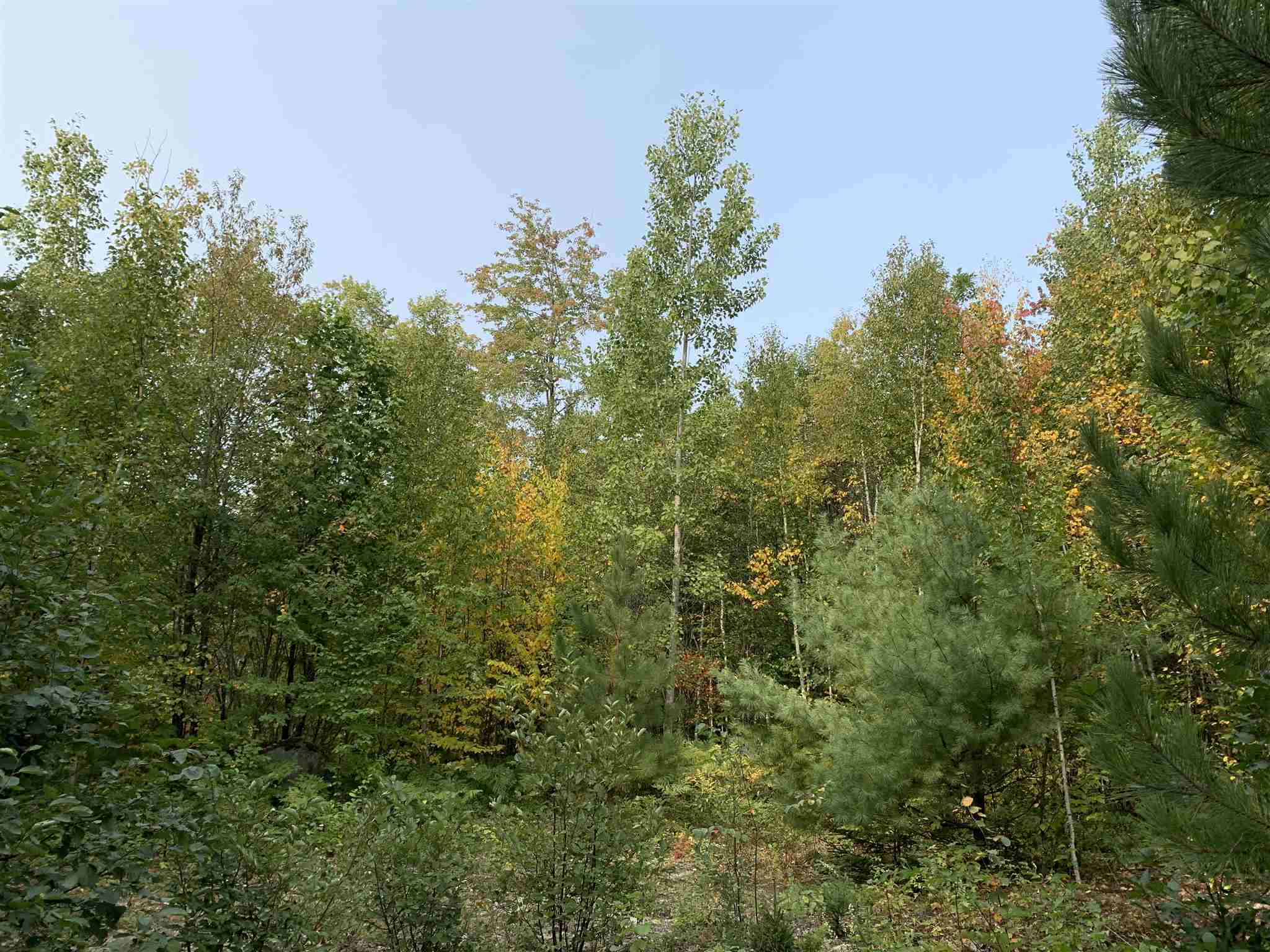507 West Side Road, Unit 1 Bethlehem, NH 03574 - Photo 9 of 10