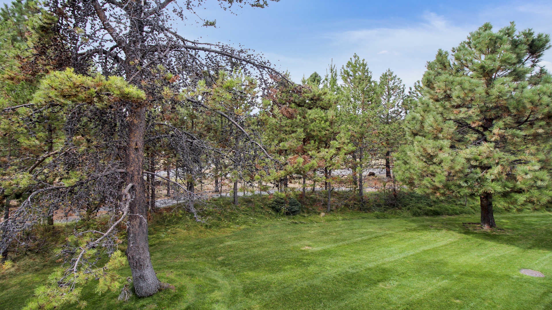 17750 West West Core Road, Unit 14 Sunriver, OR 97707 - Photo 21 of 26 yard