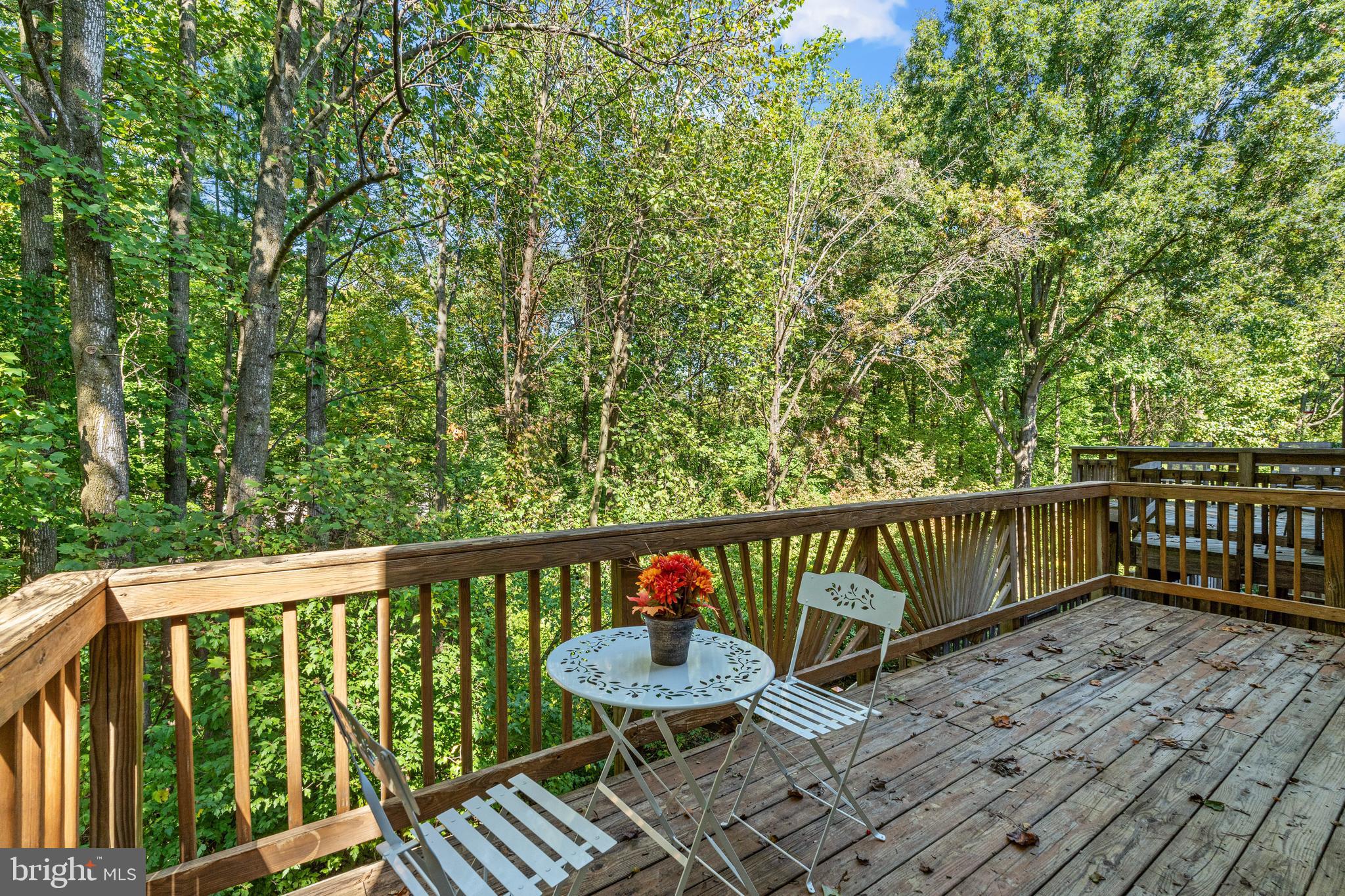 7863 Painted Daisy Drive Springfield, VA 22152 - Photo 8 of 37