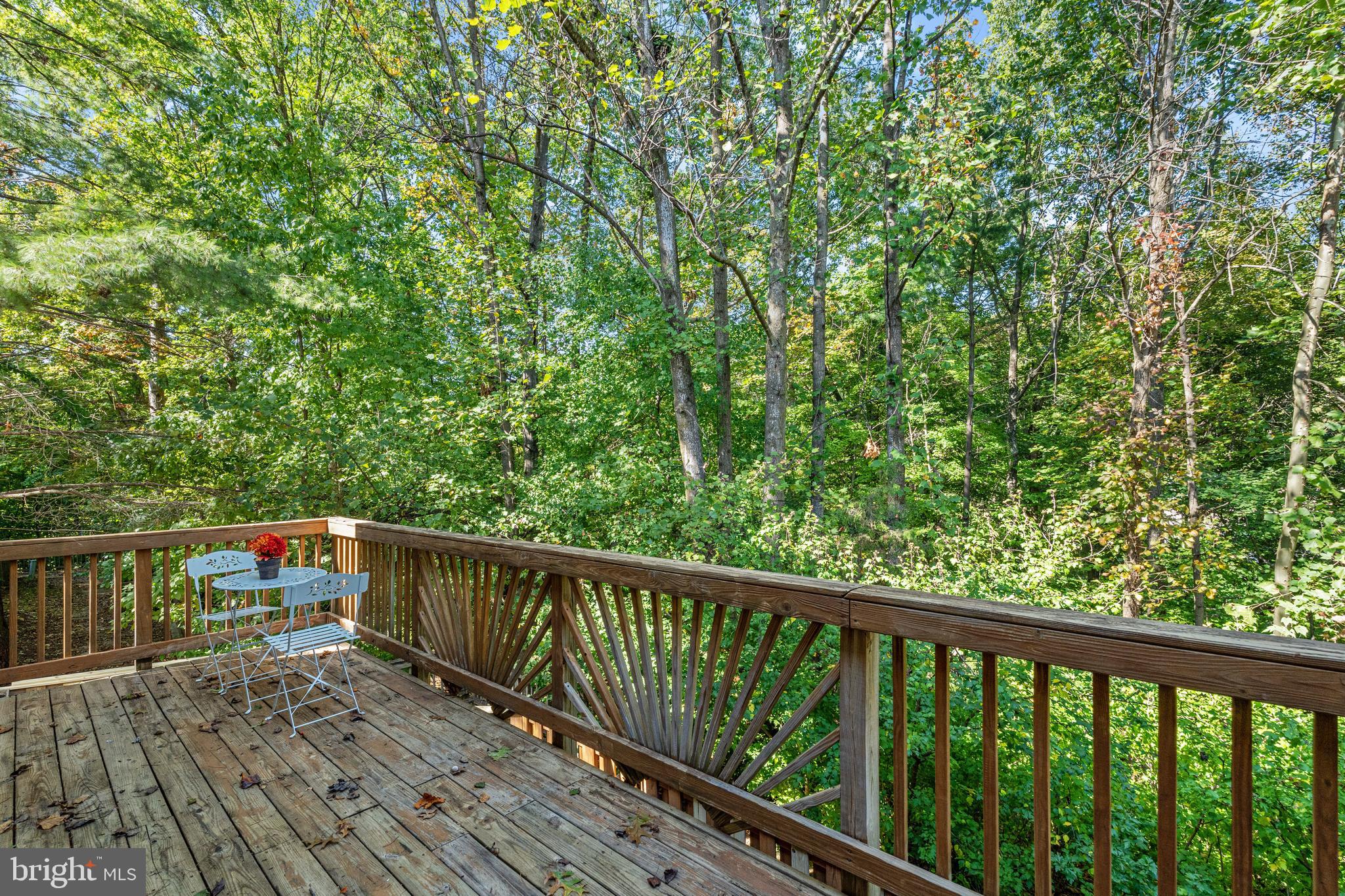 7863 Painted Daisy Drive Springfield, VA 22152 - Photo 9 of 37