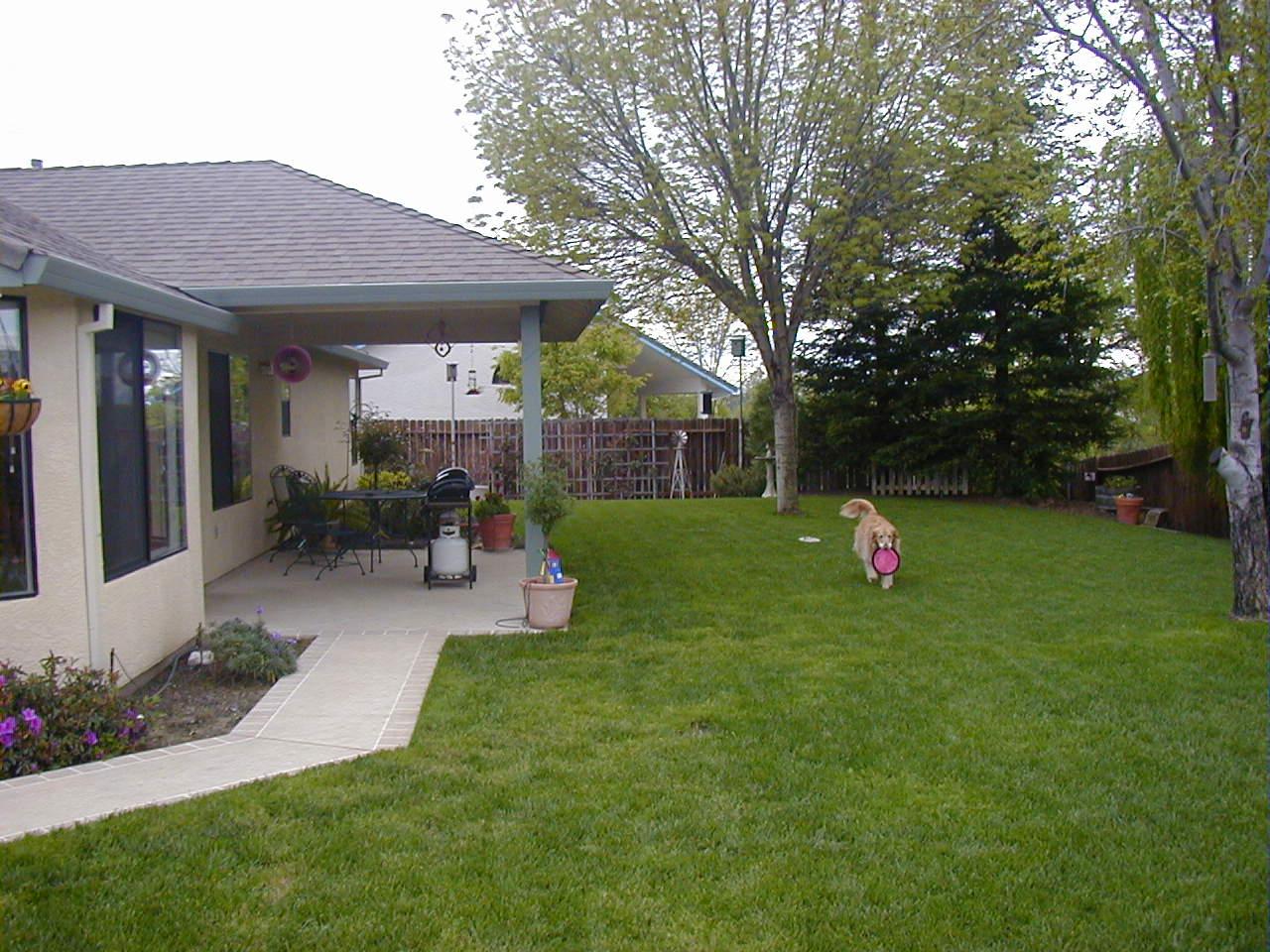 4424 Heather Ridge Lane Redding, CA 96001 - Photo 4 of 16 Backyard