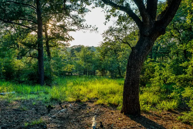 $1,295,000 | 353 Spanish Canyon Trail, West Point, TX 78963