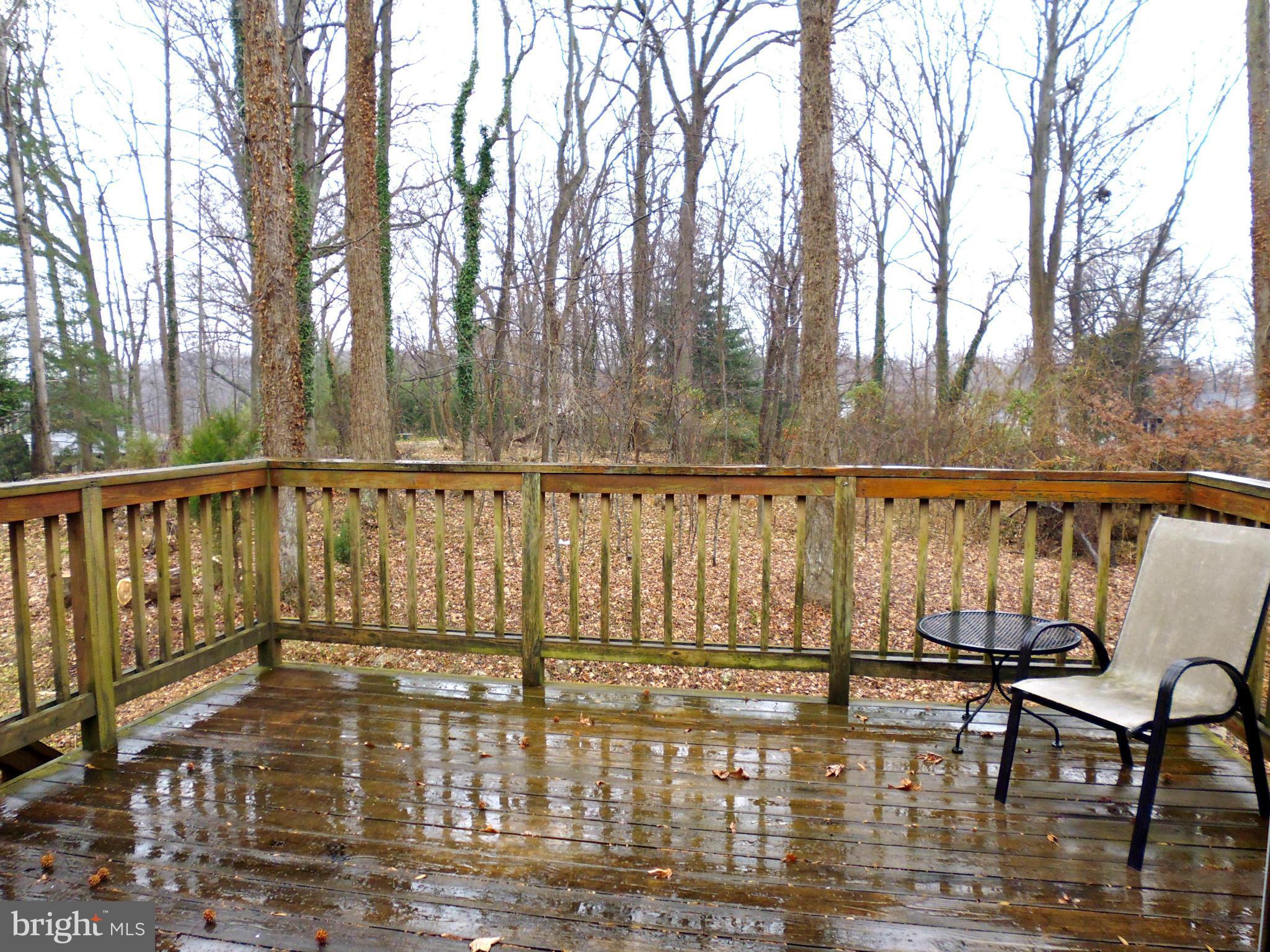 1357 Moyer Road Annapolis, MD 21403 - Photo 8 of 21 Deck and View