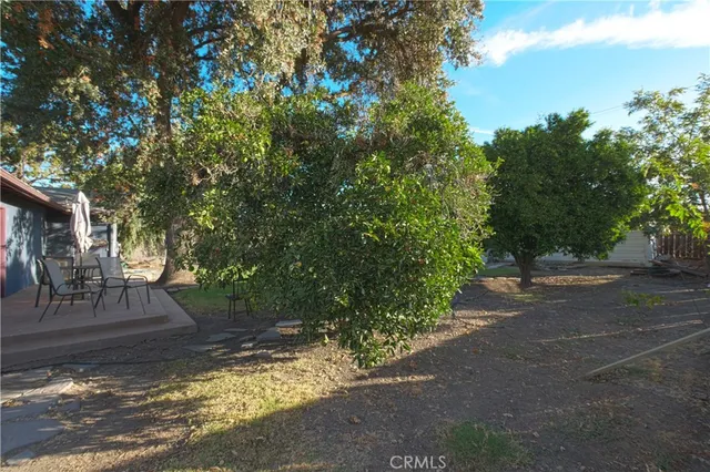 a potted plant sitting in front of a door