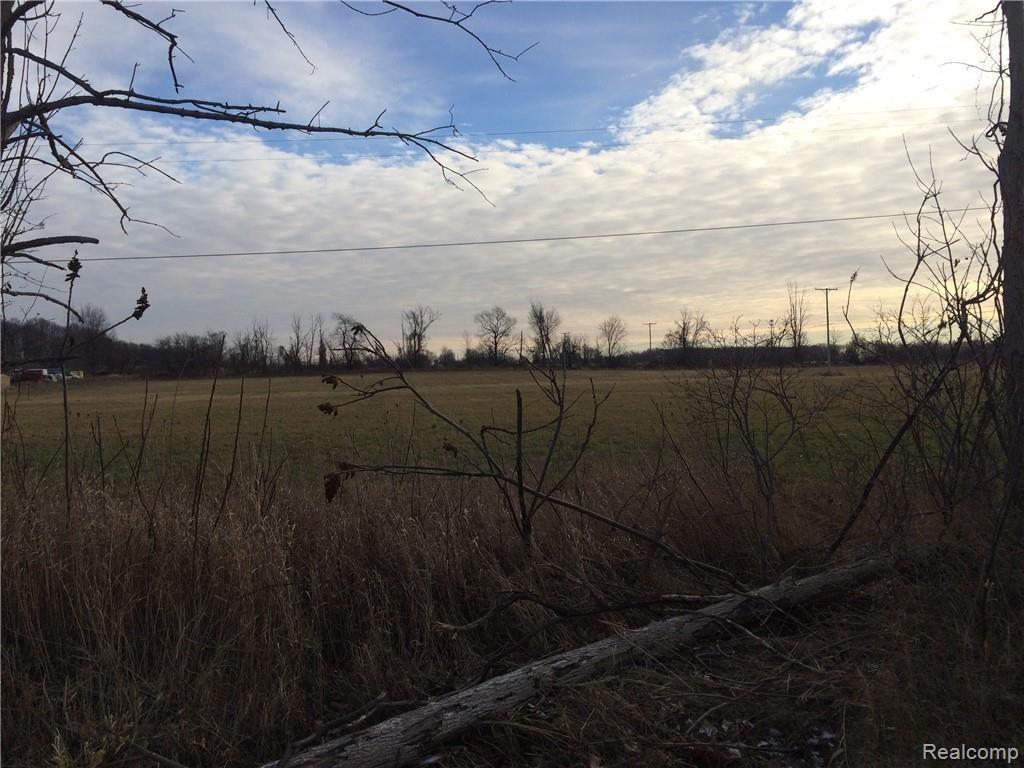 D2 Shoemaker Road Almont, MI 48003 - Photo 1 of 2 Gallery Image 1