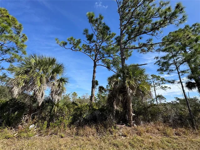 $29,000 | 3110 Gillot Boulevard, Port Charlotte, FL 33981