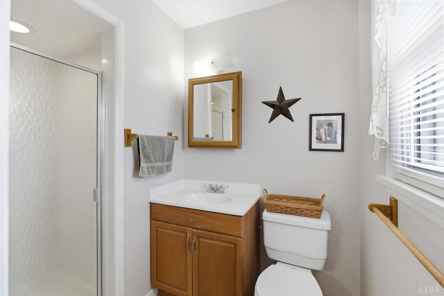 14 Sleepy Hollow Road Lynchburg, VA 24502 - Photo 16 of 35 a bathroom with a toilet sink and mirror