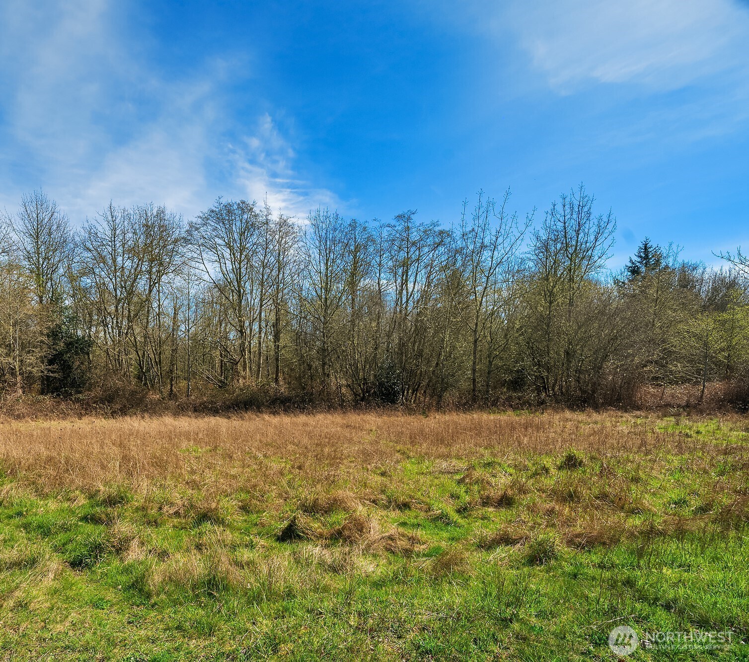 23-xxx Dockton Road Southwest Vashon, WA 98070 - Photo 3 of 8 Gallery Image 3