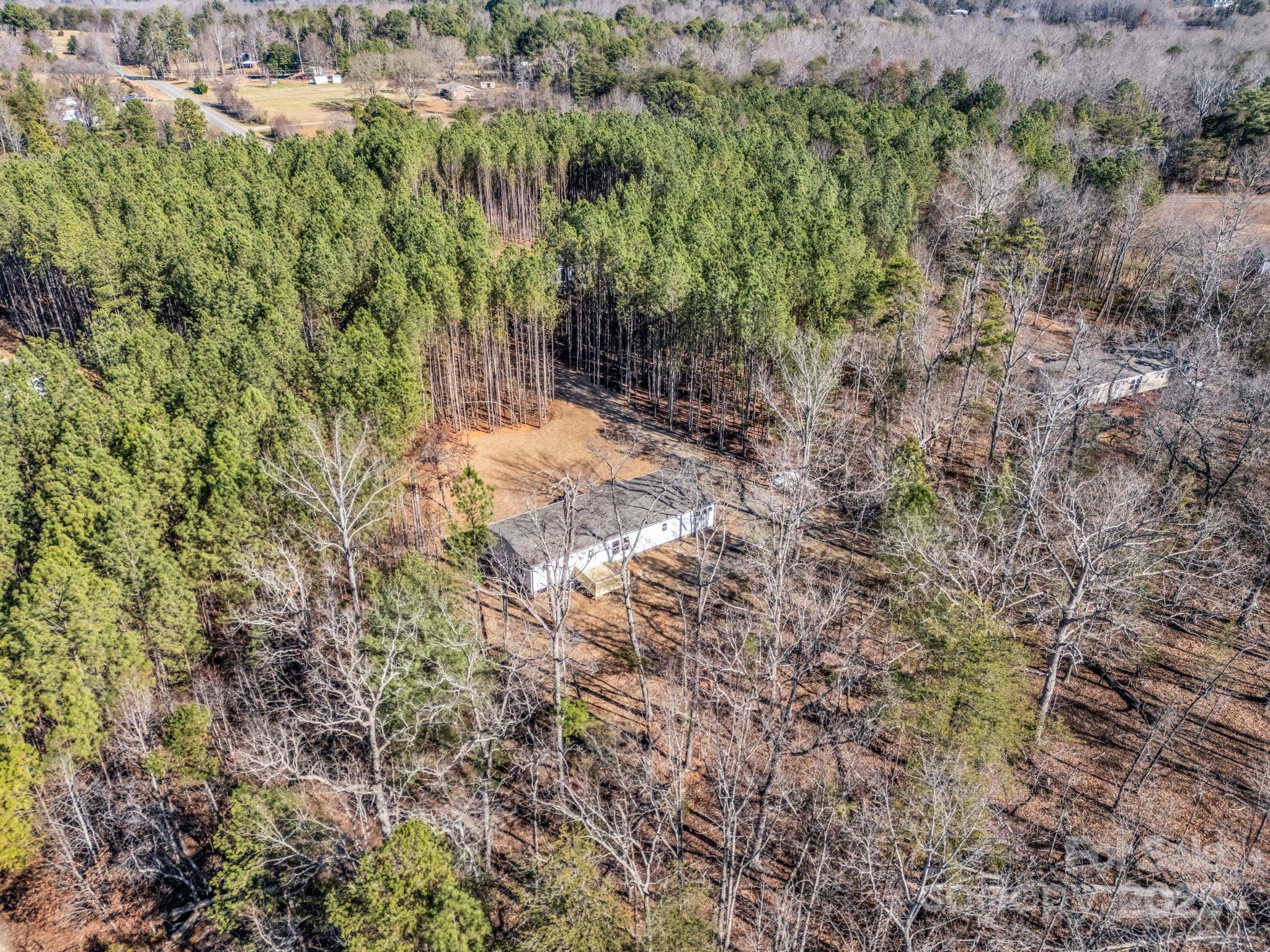 844 Tiney Road Ellenboro, NC 28040 - Photo 38 of 45 a view of a forest with a tree