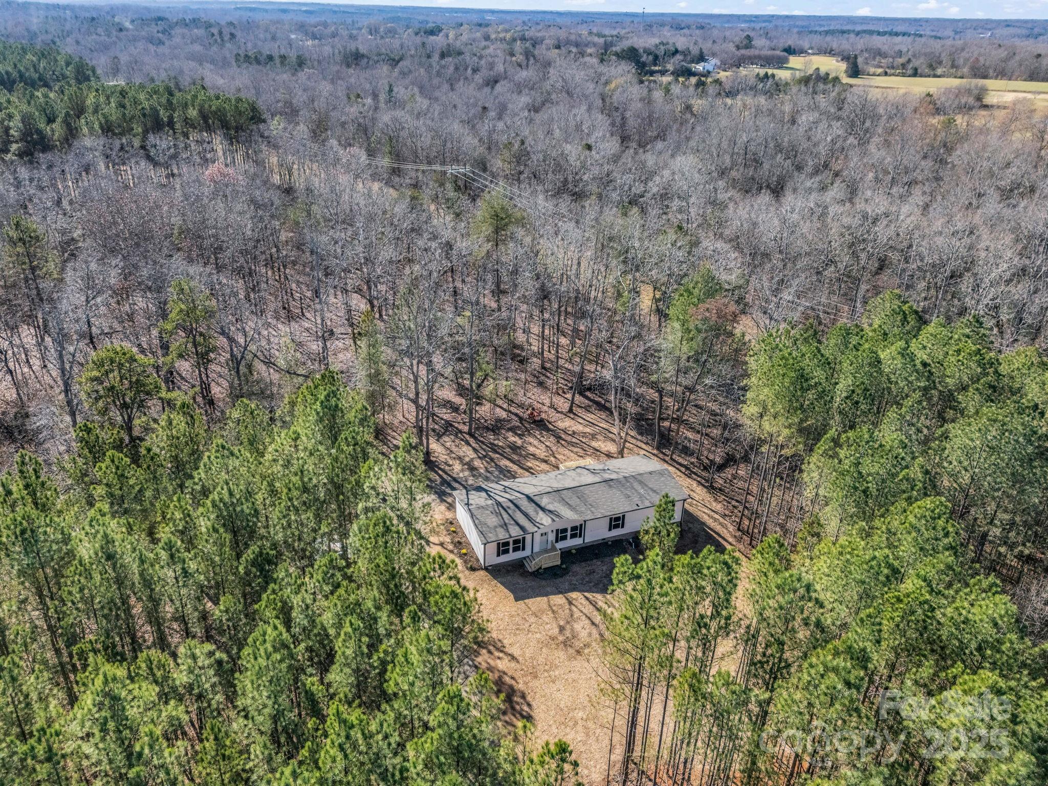 844 Tiney Road Ellenboro, NC 28040 - Photo 41 of 45 a view of a yard with plants