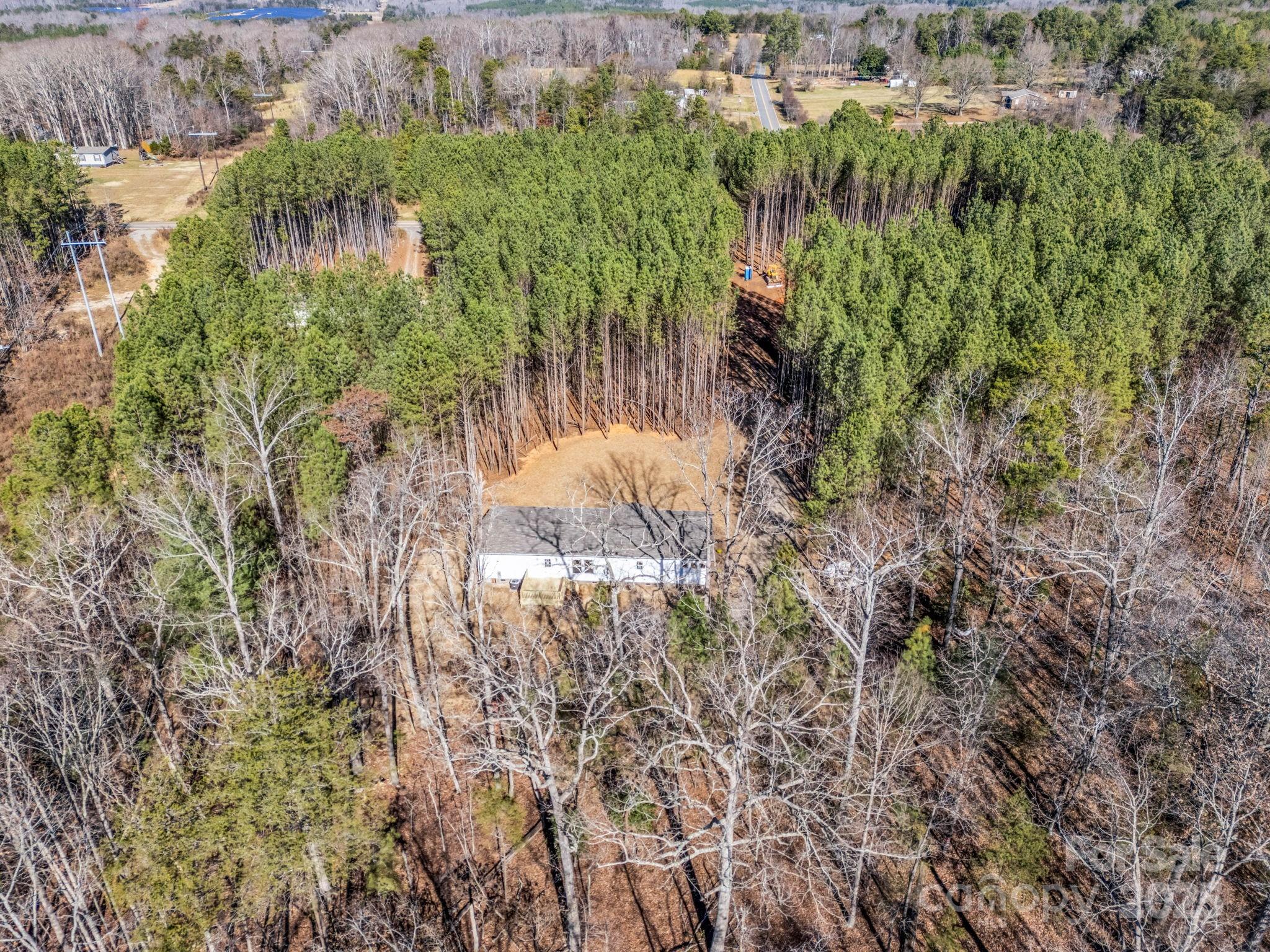 844 Tiney Road Ellenboro, NC 28040 - Photo 42 of 45 a view of a garden with a tree