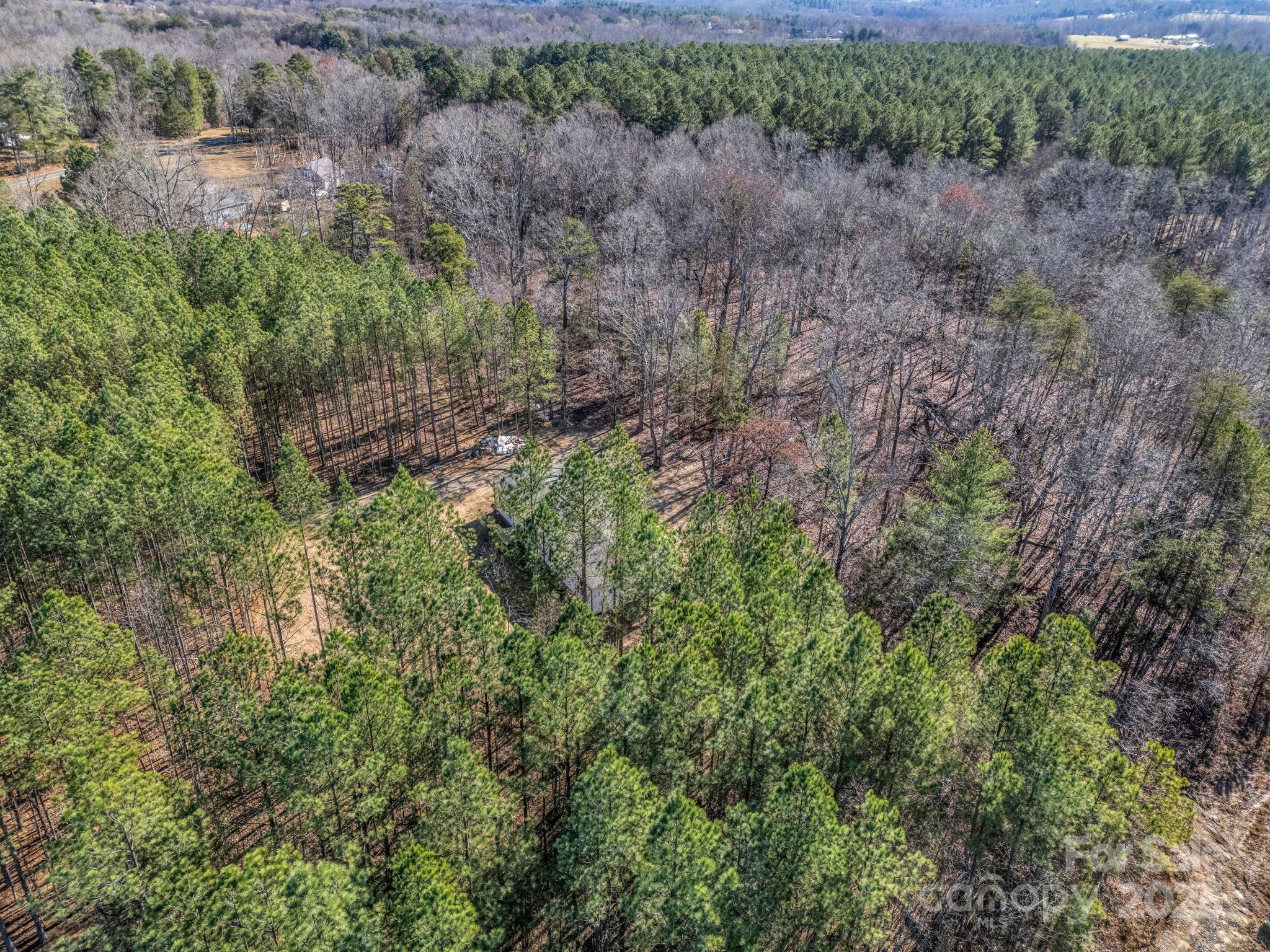 844 Tiney Road Ellenboro, NC 28040 - Photo 45 of 45 a view of a lush green forest with lots of trees