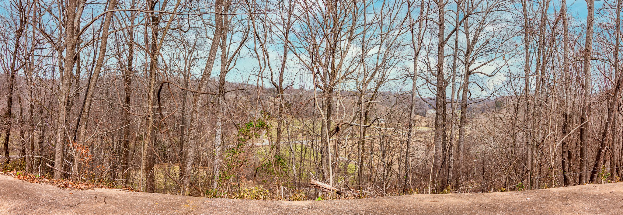 615 Sumac Road Pulaski, TN 38478 - Photo 26 of 39 Gallery Image 26