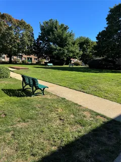 a view of a park with large trees